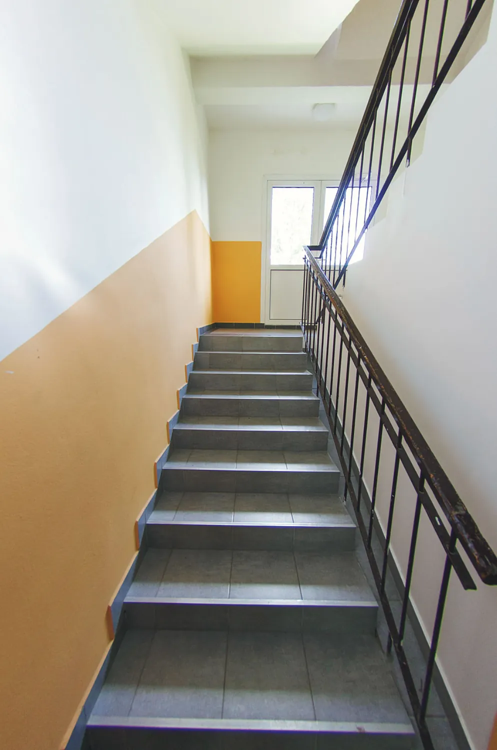 Rekonštrukcia spoločných priestorov Študentská 10